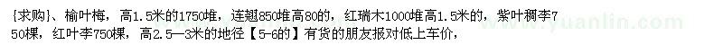 求購榆葉梅，連翹，紅瑞木