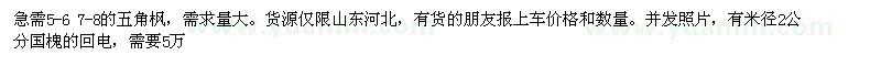 求購5-6 7-8的五角楓 米徑2公分國槐