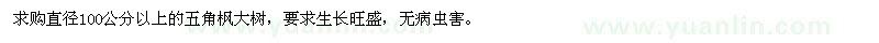 求購(gòu)特大五角楓樹(shù)