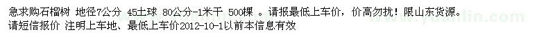 求購石榴樹 地徑7公分 500棵 