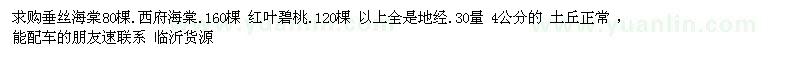 求購垂絲海棠　紅葉碧桃