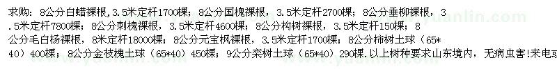 求購白蠟 國槐 垂柳 刺槐 毛白楊 元寶楓 金枝槐 柿子樹 欒樹等（