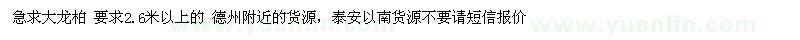 求購大龍柏 要求2.6米以上的