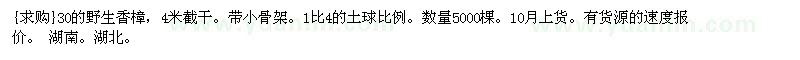 求購(gòu)30的野生香樟，4米截桿