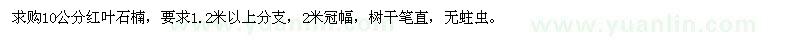 求購10公分紅葉石楠