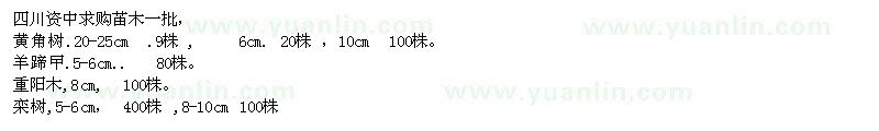 求購黃角樹、羊蹄曱、重陽木、欒樹