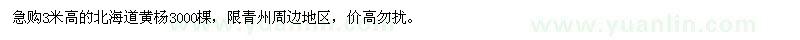 求購3米高的北海道黃楊
