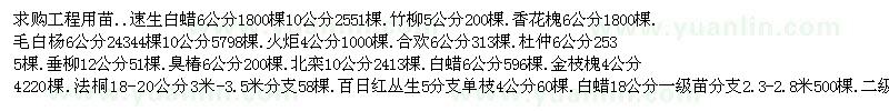 求購速生白蠟6公分、竹柳5公分、香花槐6公分、毛白楊