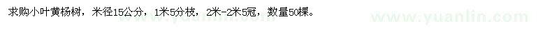 求購小葉黃楊樹