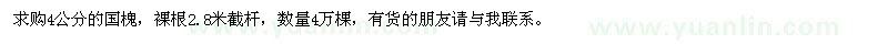 求購(gòu)4公分國(guó)槐4萬(wàn)棵