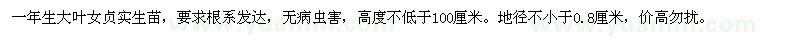 求購大葉女貞苗 