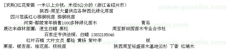 求購(gòu)紅花紫薇 一米以上分枝，米徑5公分的（浙江省紹興市）