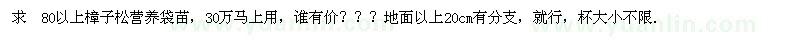 求購80以上樟子松營養(yǎng)袋苗