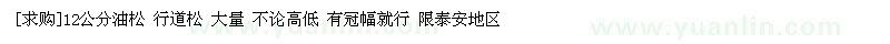 求購12公分油松 行道松