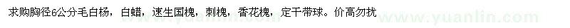 求購(gòu)胸徑6公分毛白楊，白蠟，速生國(guó)槐，刺槐，香花槐