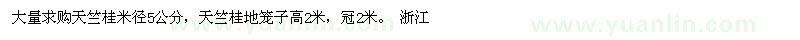 求購(gòu)天竺桂米徑5公分