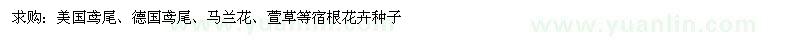 求購美國鳶尾、德國鳶尾、馬蘭花、萱草等宿根花卉種子