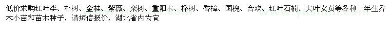 求購紅葉李、樸樹、金桂、紫薇、欒樹等
