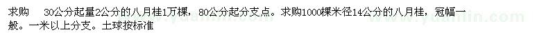 求購 30公分起量2公分的八月桂