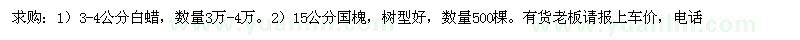 求購白蠟 國槐
