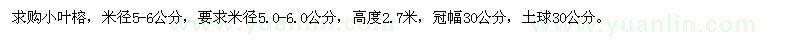 求購米徑5-6公分小葉榕