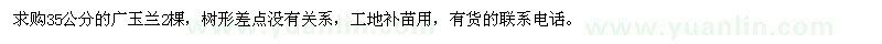 求購35公分的廣玉蘭