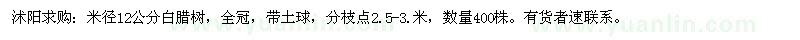 求購米徑12公分白臘樹，全冠，帶土球，分枝點(diǎn)2.5-3.米