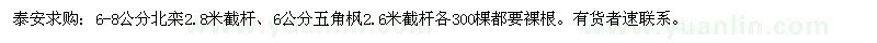 求購(gòu)6-8公分北欒2.8米截桿、6公分五角楓2.6米截桿各300棵