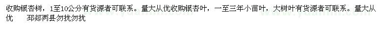 求購銀杏樹、銀杏葉