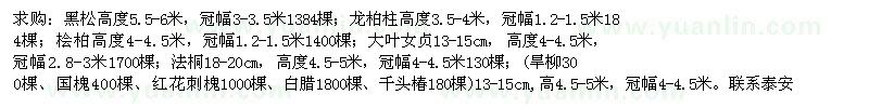 求購黑松、龍柏、檜柏、大葉女貞、法桐