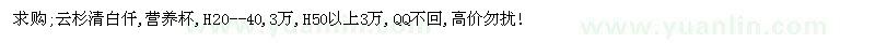 求購(gòu)云杉清白仟