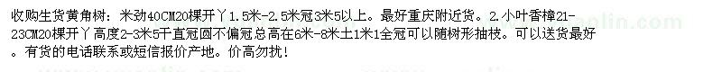 求購(gòu)生貨黃角樹(shù)、小葉香樟
