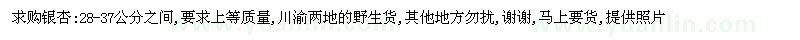 求購(gòu)大規(guī)格銀杏苗木（喬灌木類(lèi)）