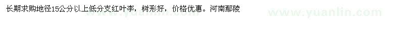 求購(gòu)地徑15公分以上低分支紅葉李