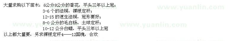 求購(gòu)6公分8公分的香花、3-6個(gè)的法桐、12-15的速生法桐等