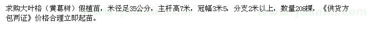 求購(gòu)大葉榕（黃葛樹(shù)）假植苗