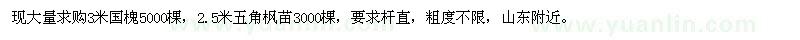 求購3米國槐苗，2.5米高五角楓