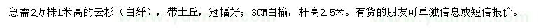 求購2萬株1米高的云杉