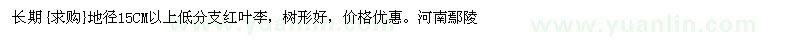 求購地徑15CM以上低分支紅葉李