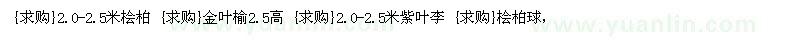 求購2.0-2.5米檜柏 金葉榆 紫葉李 檜柏球