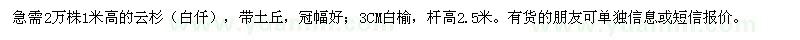求購(gòu)云杉（白仟）1米高的