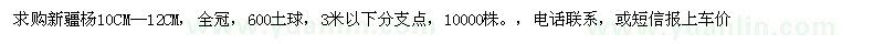 求購新疆楊10CM—12CM