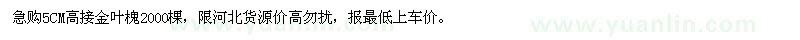 求購5CM高接金葉槐2000棵