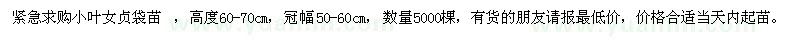 求購小葉女貞袋苗