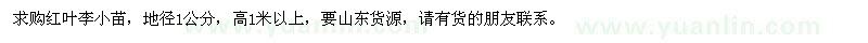 求購(gòu)紅葉李小苗