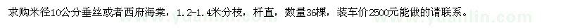 求購米徑10公分垂絲或者西府海棠