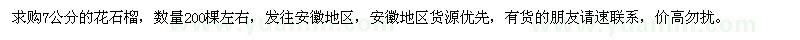求購7公分的花石榴200棵