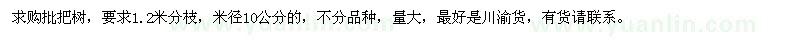 求購批把樹