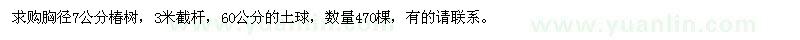 求購(gòu)胸徑7公分椿樹(shù)