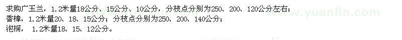 求購(gòu)廣玉蘭,香樟,泡桐,櫻花